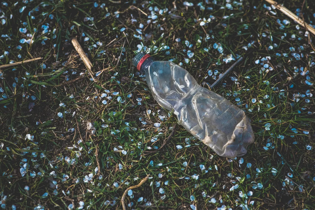 Plastic bottle on a green grass - What is
holiness?